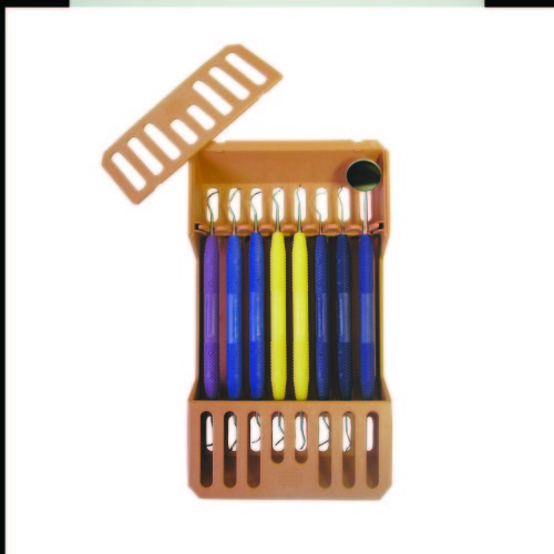 DENTAL,PROPHY KIT,RAINBOW, 7 INST+TRAY, Dental Products